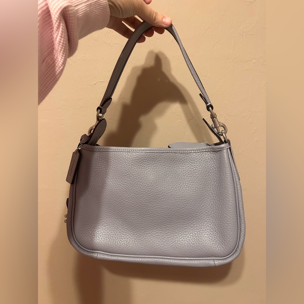 Coach Cary Bag